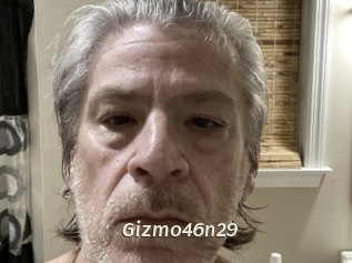Gizmo46n29