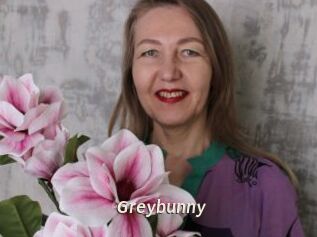 Greybunny