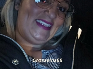 Grosseins88