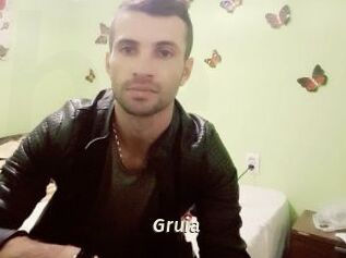 Gruia