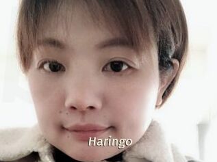 Haringo