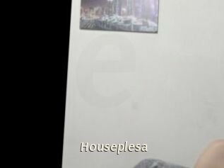 Houseplesa Blog éjac