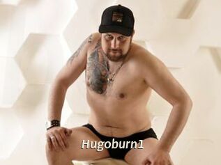 Hugoburn1