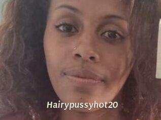 Hairypussyhot20