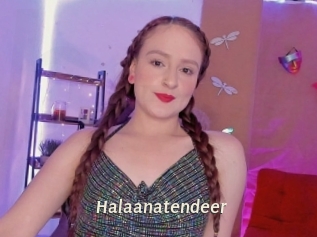 Halaanatendeer