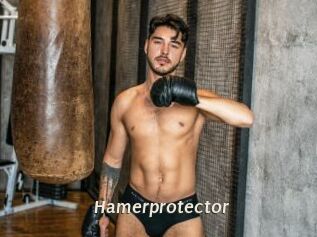 Hamerprotector