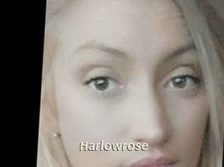 Harlowrose