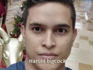 Harold_bigcock