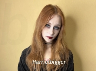 Harrietbigger