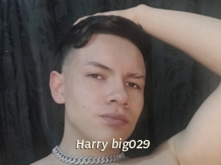 Harry_big029
