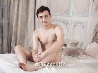 Harrygentle
