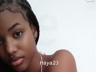 Haya23