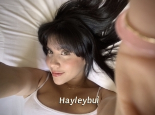 Hayleybui