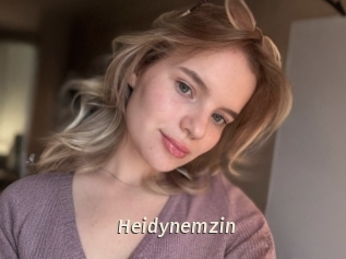 Heidynemzin