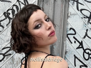 Hollisaldridge