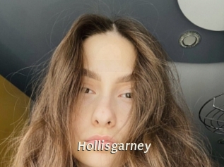 Hollisgarney