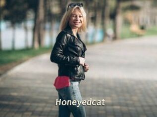 Honeyedcat