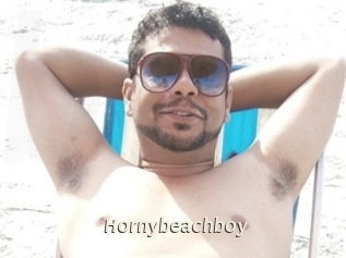 Hornybeachboy