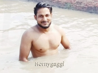 Hornygaggi