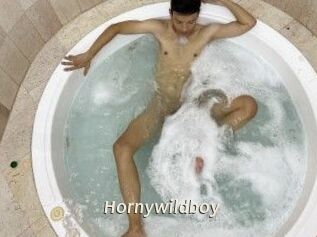 Hornywildboy