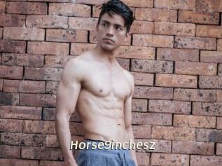 Horse9inchesz