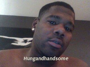 Hungandhandsome