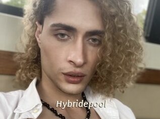 Hybridepool