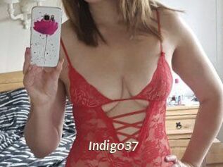 Indigo37