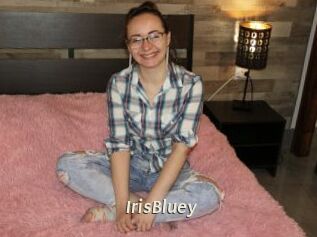 IrisBluey