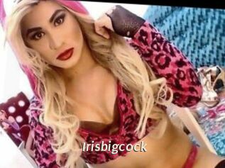 Irisbigcock