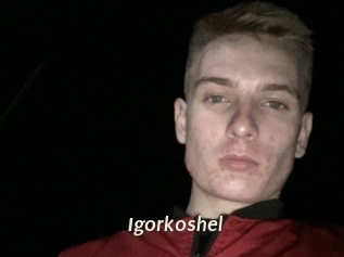 Igorkoshel