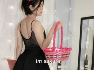 Im_sakura
