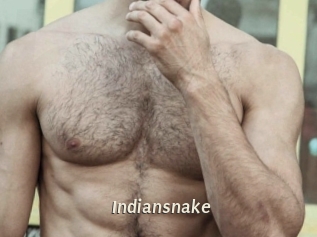 Indiansnake