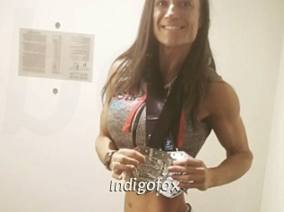 Indigofox