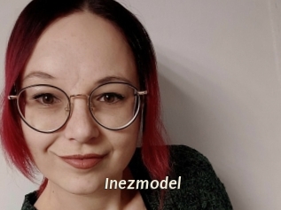 Inezmodel