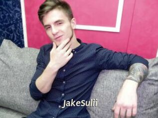 JakeSulii