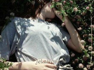 JekaFlow