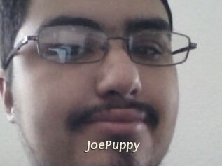 JoePuppy