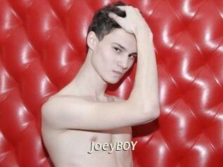 JoeyB0Y