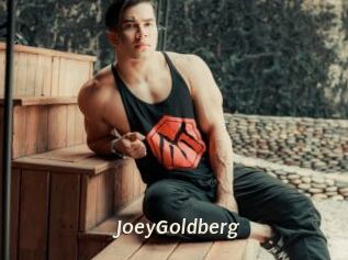 JoeyGoldberg