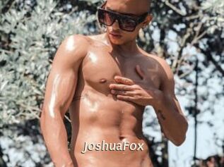 JoshuaFox
