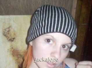 Jackalope