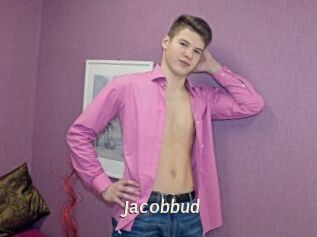 Jacobbud