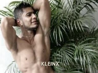 KLEINX