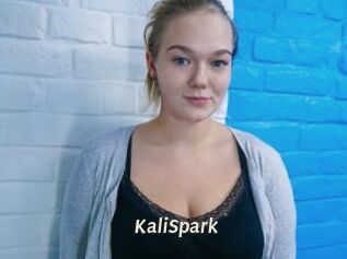 KaliSpark
