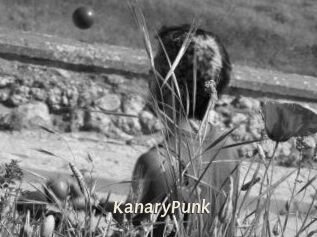 KanaryPunk