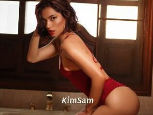KimSam Blog éjac
