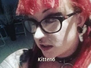 Kitten6