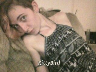 KittyBird