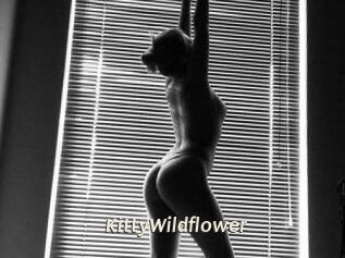 KittyWildflower